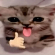 hamster - steam id 76561198939080435