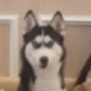 屁里带毒崩谁谁无