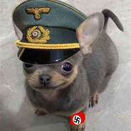 卍Perrito Aleman卍