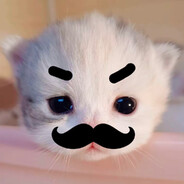 全网最萌谁不服