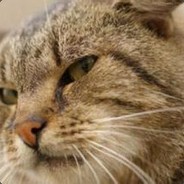 狂踹瘸子那条好腿