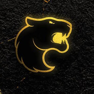 b1r - steam id 76561199804220615