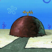 灵猫在峨眉山上