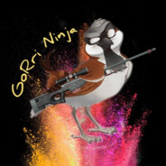 GoRri Ninja