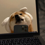 打你不许哭