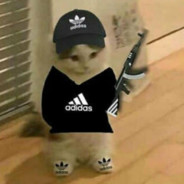 KOZ