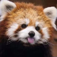 迎面走来的是你的父亲