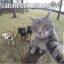 Selfie Con Los Amigos