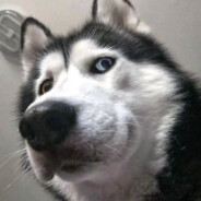 若再许我少年时