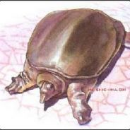 领着舒魏出门遛弯儿