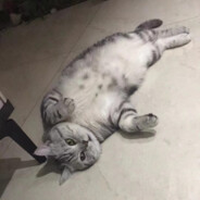 超甜的泡面骚猪