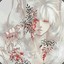 lux_signifer