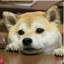 锈剑
