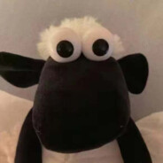 不会突破的校草