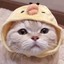 想要被认可
