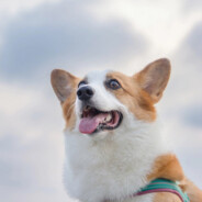 雨夜带刀不带伞