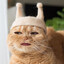 เพิ่งกลับม