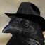 raven ravenicov