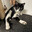 pants's Avatar