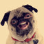 Holly_D-Foy