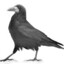 GRACHik
