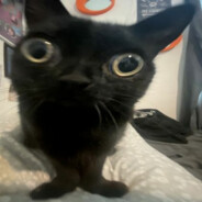 MaëlStorm