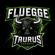 Fluegge_btw avatar