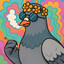 high pigeon
