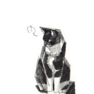 每日提醒喝水小助手