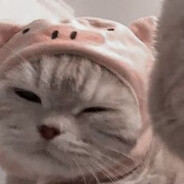 诗诗