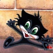 Whatislove avatar