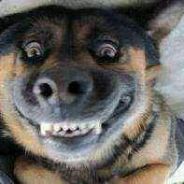 乖巧活好器大话少