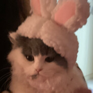 三文椰是三文鱼