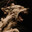 Vasto Lorde'