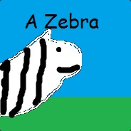 a zebra