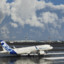 Flying_Ducks