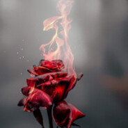 _rescuer_