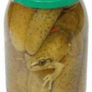 Pickled Frog :3 ®™