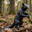 Gimpy Squirrel