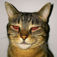 Kkkendr1q - steam id 76561199866567805