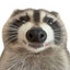 Goobert