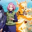 ZORO__1