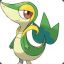 Snivy