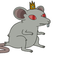 Rat