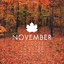 November™