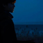 不会过期的秋刀鱼