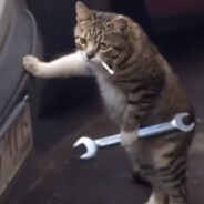 bartoszeune CASE.GIFT