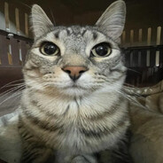 Блядская натура