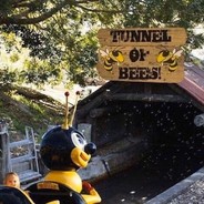 Tunnel of Bees