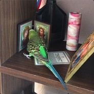 ИеЭсуУс поМоги))0